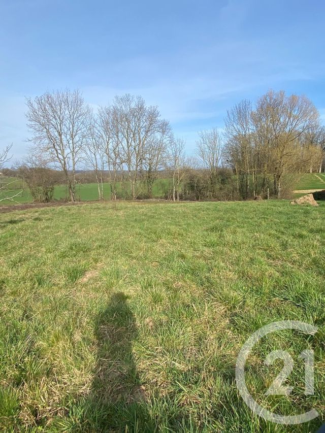 terrain à vendre - 2461.0 m2 - STE CROIX EN BRESSE - 77 - ILE-DE-FRANCE - Century 21 Agence Coeur De Bresse terrain à vendre - 2461.0 m2 - STE CROIX EN BRESSE - 77 - ILE-DE-FRANCE - Century 21 Agence Coeur De Bresse