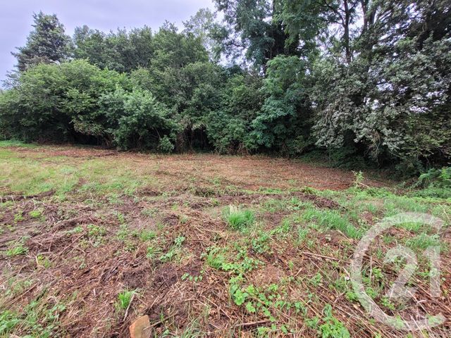 Afficher la photo en grand terrain à vendre - 1457.0 m2 - DEVROUZE - 71 - BOURGOGNE - Century 21 Agence Coeur De Bresse
