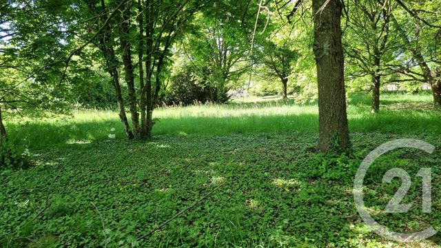 maison à vendre - 9 pièces - 195.67 m2 - BANTANGES - 71 - BOURGOGNE - Century 21 Agence Coeur De Bresse