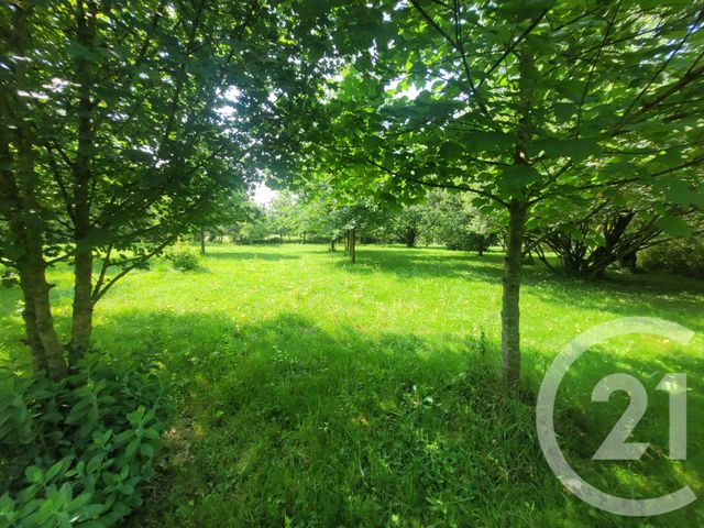 maison à vendre - 13 pièces - 431.0 m2 - MONTPONT EN BRESSE - 71 - BOURGOGNE - Century 21 Agence Coeur De Bresse