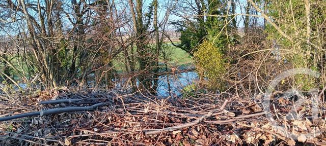 maison à vendre - 7 pièces - 175.0 m2 - JOUVENCON - 71 - BOURGOGNE - Century 21 Agence Coeur De Bresse