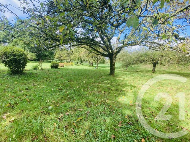 maison à vendre - 5 pièces - 170.0 m2 - ROSAY - 39 - FRANCHE-COMTE - Century 21 Agence Coeur De Bresse