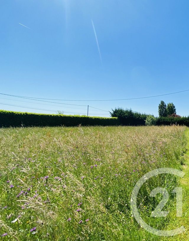 terrain - BRANGES - 71