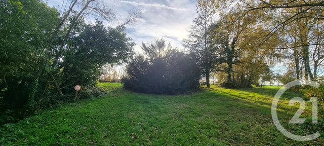 divers à vendre - 21750.0 m2 - THUREY - 71 - BOURGOGNE - Century 21 Agence Coeur De Bresse