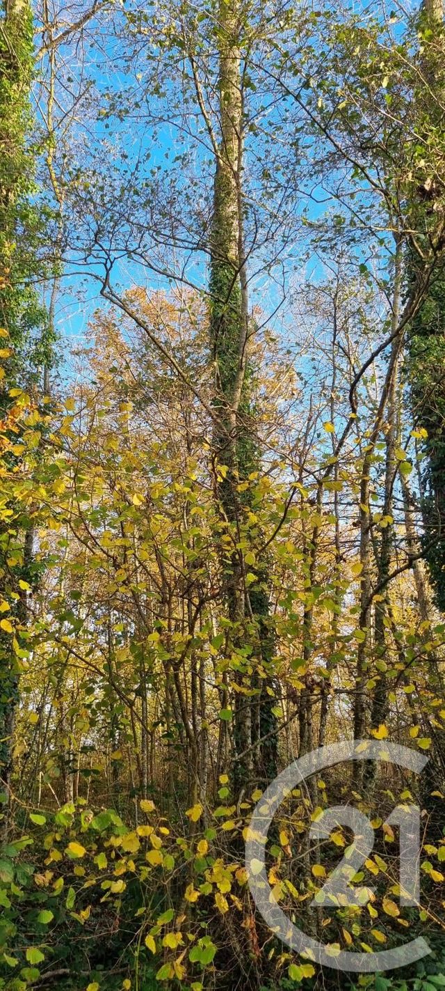 divers à vendre - 21750.0 m2 - THUREY - 71 - BOURGOGNE - Century 21 Agence Coeur De Bresse