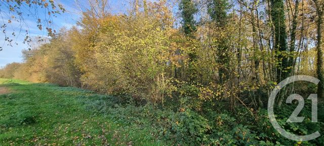 divers à vendre - 21750.0 m2 - THUREY - 71 - BOURGOGNE - Century 21 Agence Coeur De Bresse